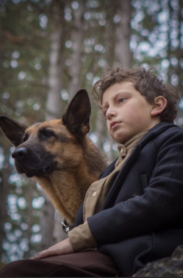 Shepherd: The Story of a Jewish Dog (2020) movie photo - id 556035