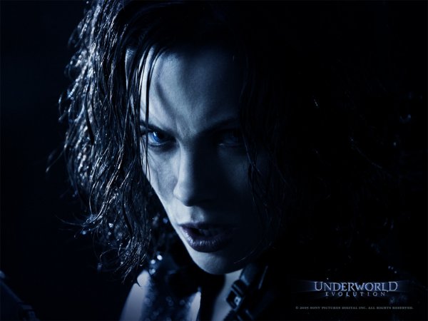 Underworld: Evolution (2006) movie photo - id 5638