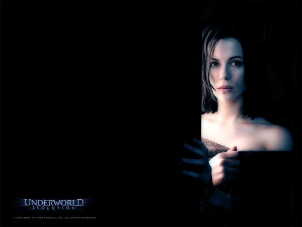 Underworld: Evolution (2006) movie photo - id 5641