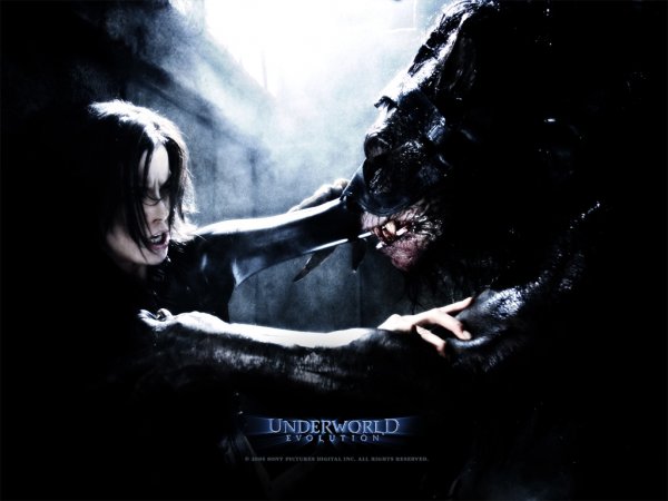 Underworld: Evolution (2006) movie photo - id 5642