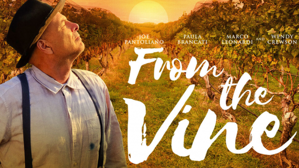 From The Vine (2020) movie photo - id 564483