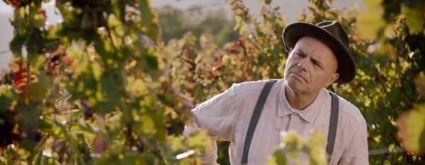 From The Vine (2020) movie photo - id 564484