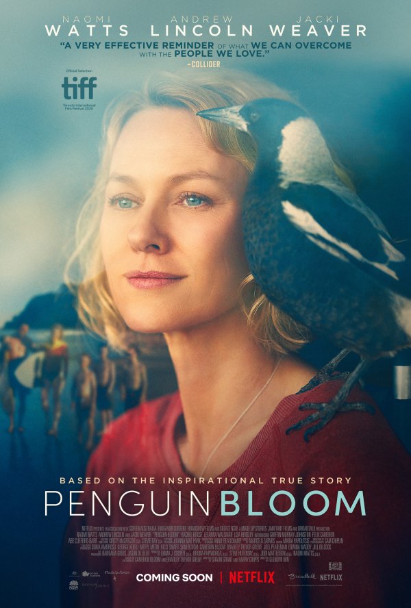 Penguin Bloom (2021) movie photo - id 576044