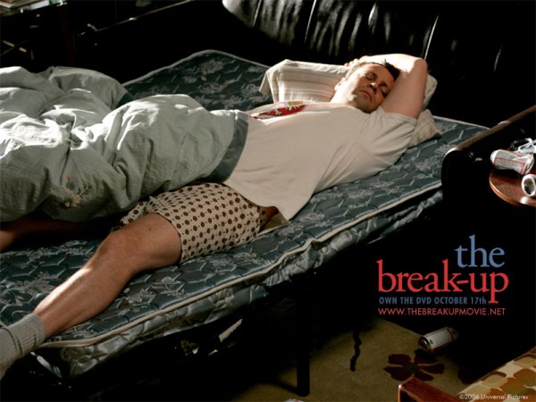 The Break-Up (2006) movie photo - id 5835
