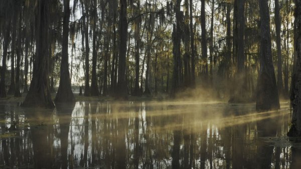 A Crime On The Bayou (2021) movie photo - id 593231