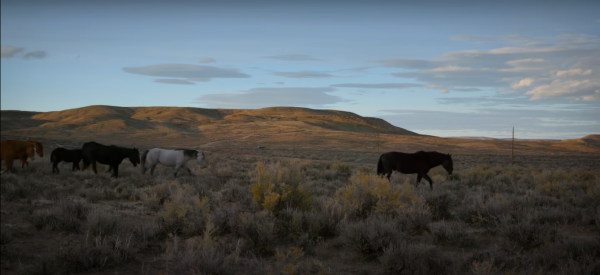 The Mustangs: America's Wild Horses (2021) movie photo - id 609927