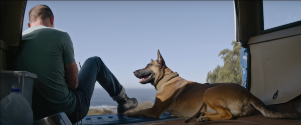 Dog (2022) movie photo - id 614131