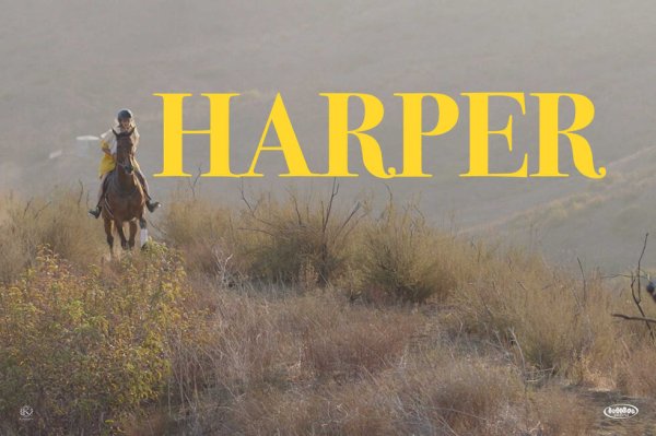 Harper (2021) movie photo - id 621838