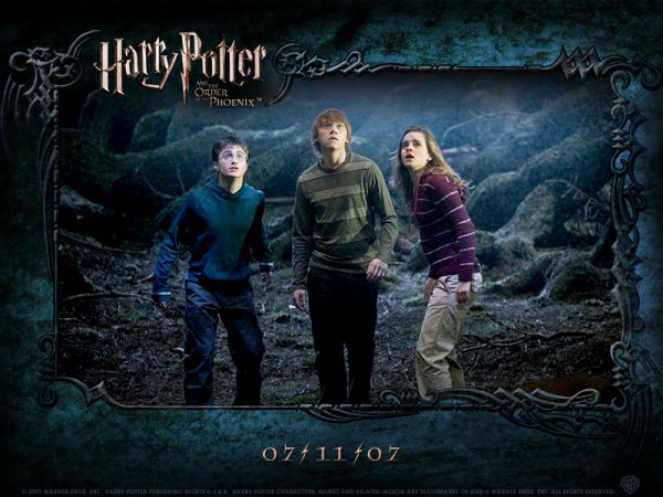Harry Potter and the Order of the Phoenix (2007) movie photo - id 6251