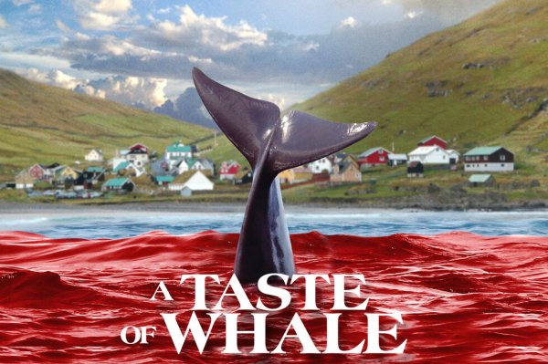 A Taste of Whale (2022) movie photo - id 633039