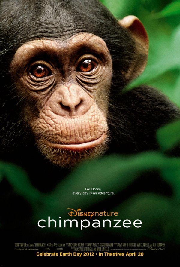 Chimpanzee (2012) movie photo - id 66903