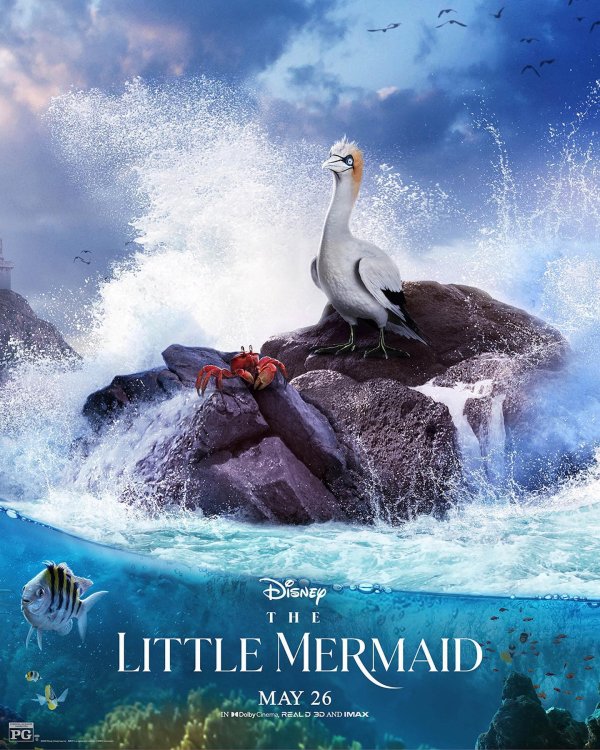 The Little Mermaid (2023) movie photo - id 708387