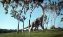 Jurassic Park 3D movie image 111739
