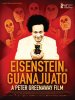 Eisenstein In Guanajuato poster