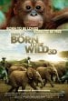 Born to be Wild poster