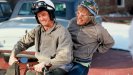 Dumb and Dumber movie image 35989