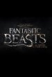 Fantastic Beasts and Where to Find Them 5 poster