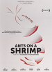 Ants on Shrimp poster