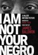 I am Not Your Negro poster