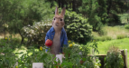 Peter Rabbit 2: The Runaway movie image 554114