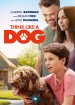 Think Like A Dog poster