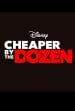 Cheaper by the Dozen poster