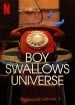 Boy Swallows Universe (series) poster