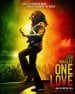 Bob Marley: One Love poster