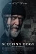 Sleeping Dogs poster