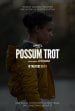 Possum Trot poster
