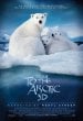 To The Arctic 3D poster