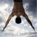 The Peaceful Warrior poster