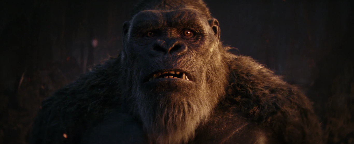 Godzilla x Kong: The New Empire (2024) movie photo - ref id 752623