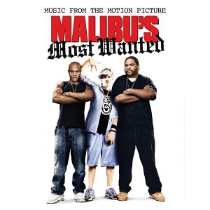 Malibu's Most Wanted (2003) movie photo - id 9746