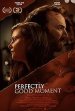 Perfectly Good Moment Movie Poster