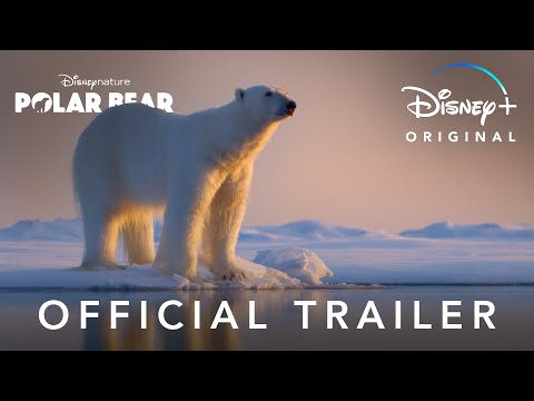 Polar Bear trailer