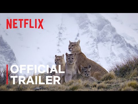 Predators (series) trailer
