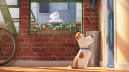 The Secret Life of Pets photo