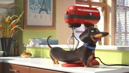 The Secret Life of Pets photo