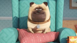The Secret Life of Pets photo