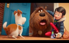 The Secret Life of Pets photo