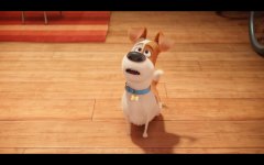 The Secret Life of Pets photo