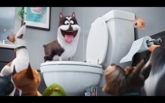 The Secret Life of Pets photo