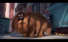 The Secret Life of Pets movie image 313228