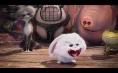 The Secret Life of Pets movie image 351370