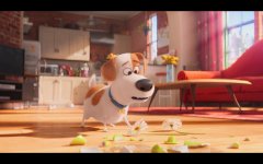 The Secret Life of Pets movie image 351371