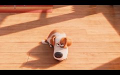 The Secret Life of Pets movie image 351373