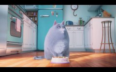 The Secret Life of Pets movie image 351374