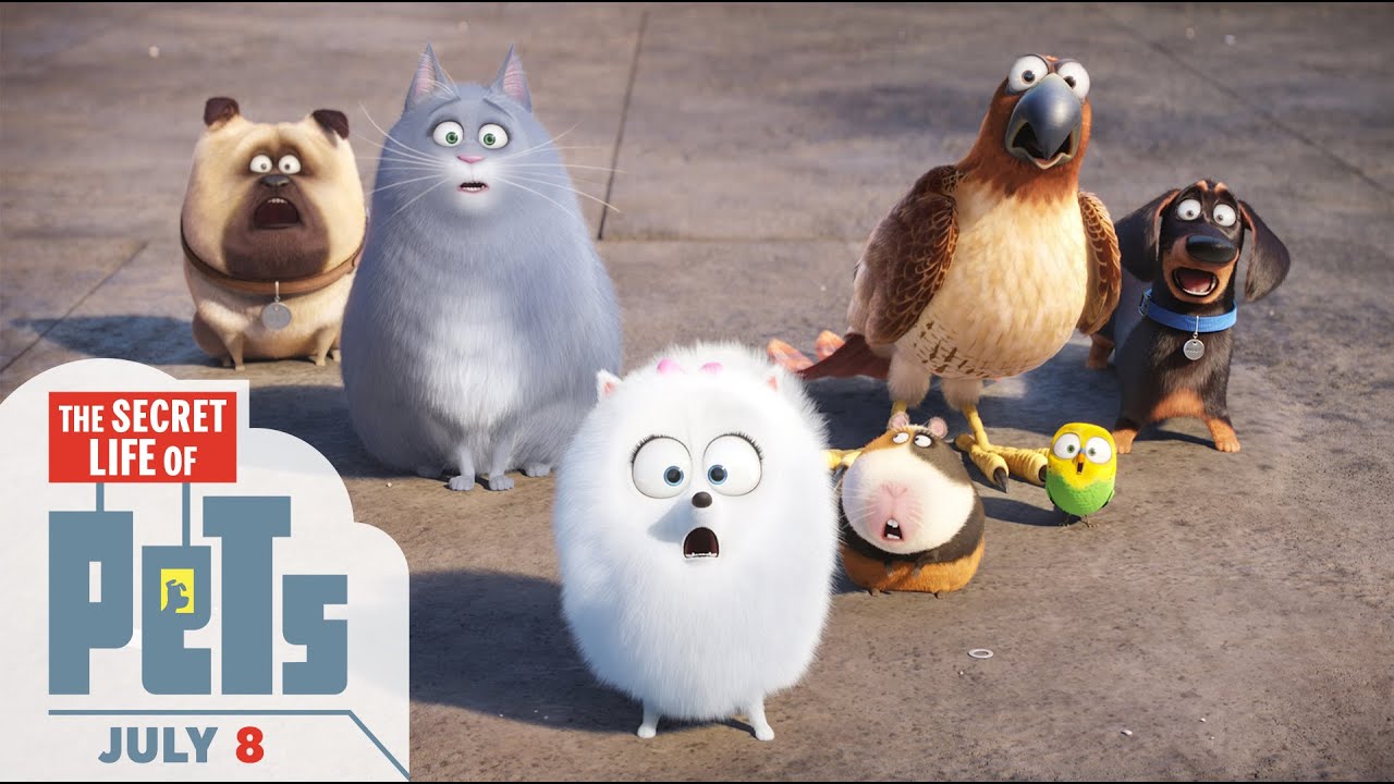 Watch The Secret Life of Pets Theatrical Trailer #2 — Official Trailer