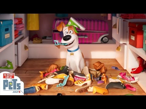 The Secret Life of Pets trailer